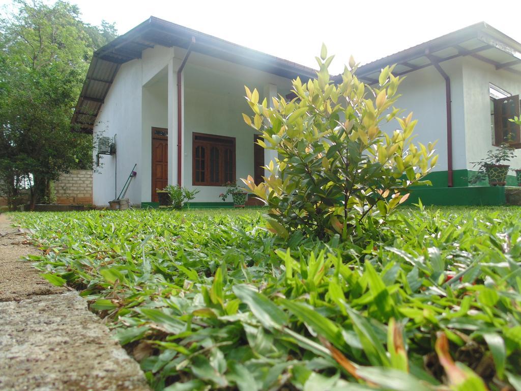 White Eagle Hotel Sigiriya Exterior foto